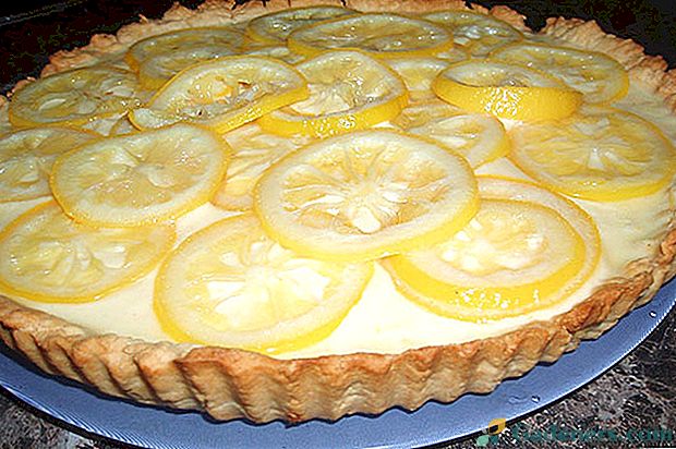 Lemon tart - sladkano in kislo olje za vso družino
