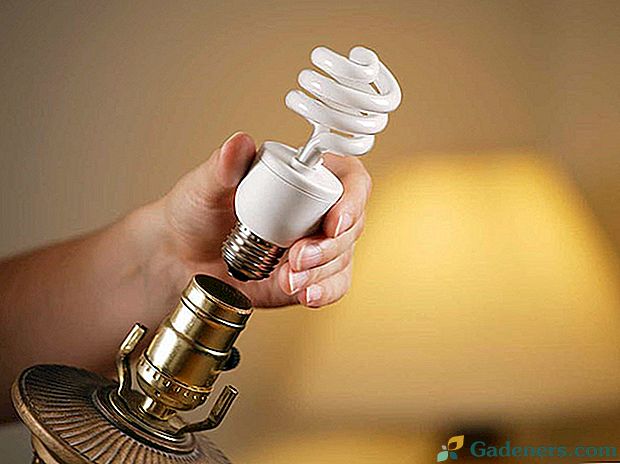 Zakaj energetska varčna lučka utripa, ko luči ugasnejo in kako rešiti težavo
