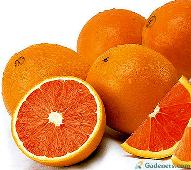 Noderīgas īpašības apelsīns