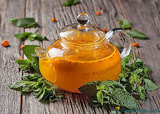 Užitočné vlastnosti a recepty na výrobu úžasného čaju z rakytníka