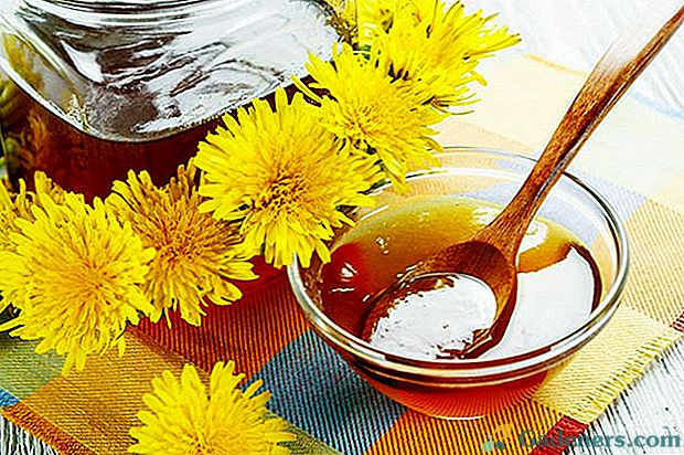 Prednosti i štete od upotrebe maslačnog meda