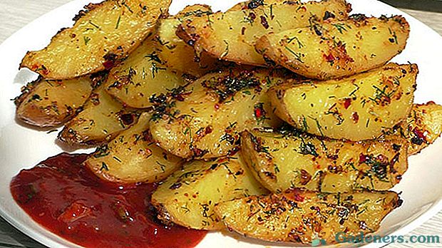 Postupné pokyny na varenie zemiakov v Idahu