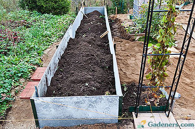 Zwiększamy zbiory warzyw przy pomocy ciepłych łóżek