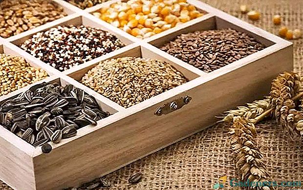 Zasady zbierania i przechowywania nasion z twojego podwórka