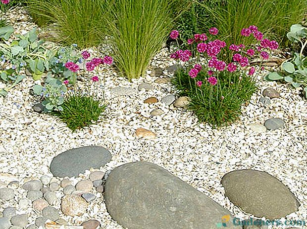 Предимствата на използването на почвата мулчиране в градината, в легла и цветни лехи