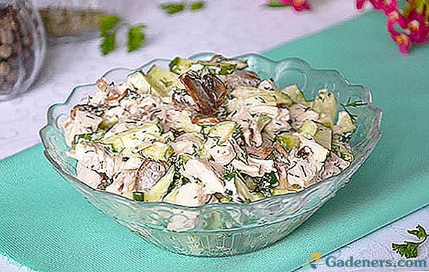 Прекрасне блюдо для справжніх гурманів - салат з куркою і грибами