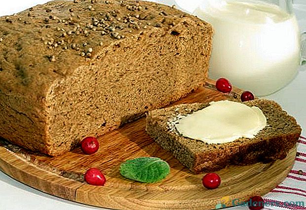 Snažíme se upečet rajský pšeničný chléb doma