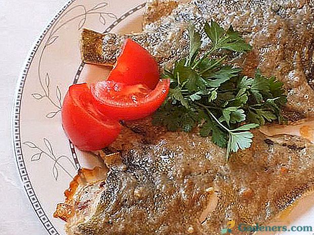 Vienkāršas receptes ar fotogrāfiju ar ēstgribējušiem plekstveidīgajiem zivīm, kas cept krāsnī