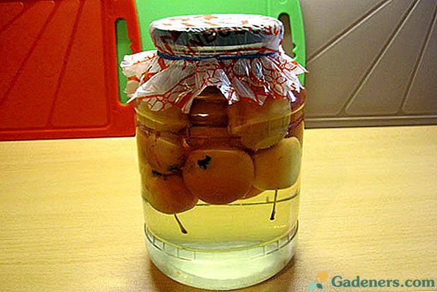 Paradise drink или рецепти компот от ratenki за зимата