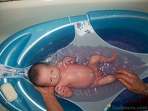 Сортове модели хамак за къпане на новородени