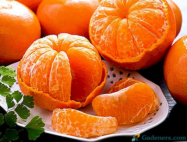 mandarine od hipertenzije