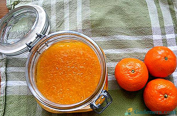 Hipertenzija i mandarina
