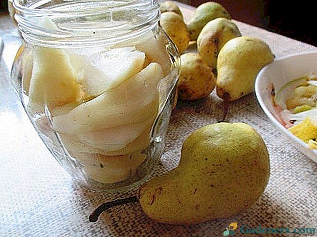 Рецепции плодове за зимата: консервиране круши в собствения си сок