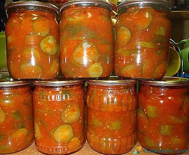 Konzerviranje recepata za zimu: krastavci u sokovima od rajčice