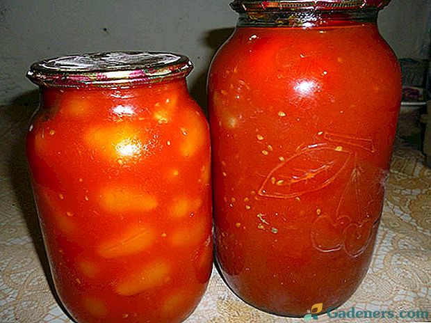 Recepty na konzervování třešňových rajčat ve vlastní šťávě