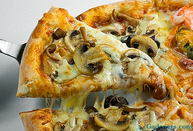 Рецепти справжньої італійської піци з грибами