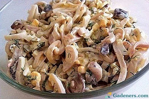 Recepti za salatu od gljiva s lignjem: pojednostavljene i svečane opcije