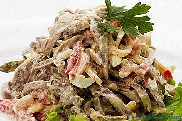 Salatni recepti z ocvrtimi gobami za pravi gurmani