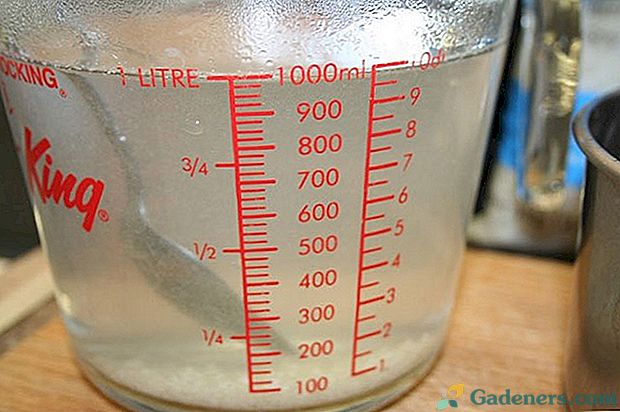 Процент солевого раствора. 10 Солевой раствор как приготовить на 1 стакан воды. 9 Процентный солевой раствор приготовить. Как делать 10 процентный солевой раствор. Солевой раствор в процентах для засолки икры.