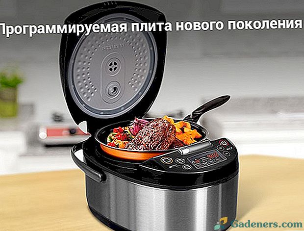 Urządzenia kuchenne - Multicooker REDMOND z Chin