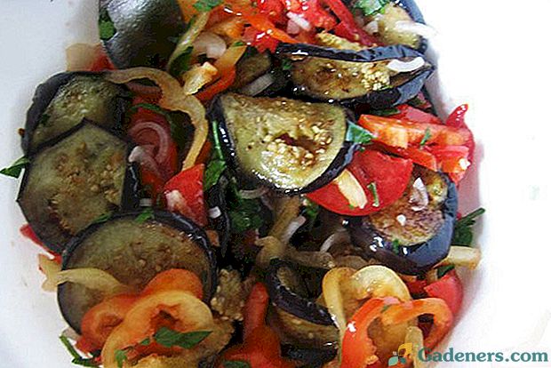 Салат з баклажанами і помідорами - найкраща вибірка рецептів