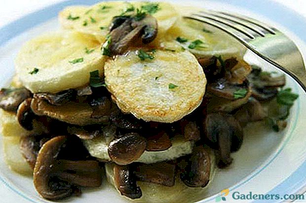 Найсмачніші рецепти смаженої картоплі з грибами