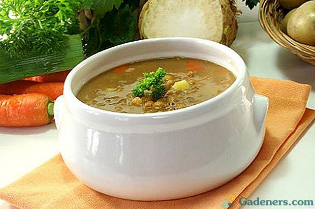 Najbolj okusna juha recept z lečo in krompirjem