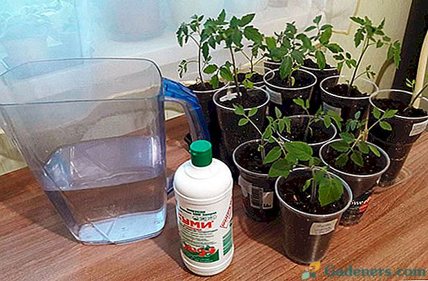 Vyvážený a bezpečný vrchní obvaz pro všechny rostliny - Gumi hnojivo