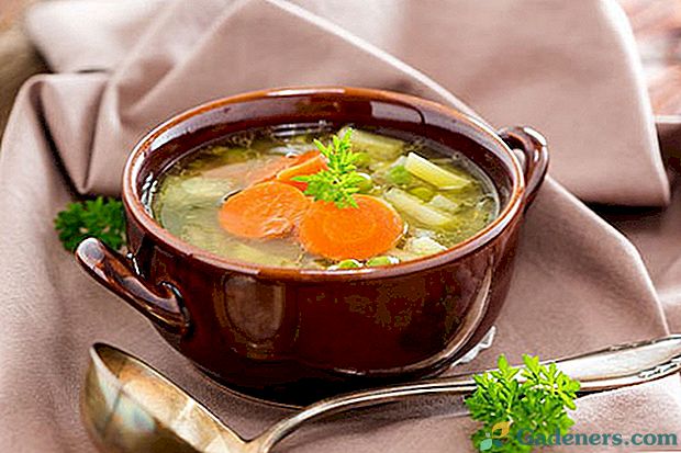 Puikios sriubos ir žirnių kepimo paslaptys