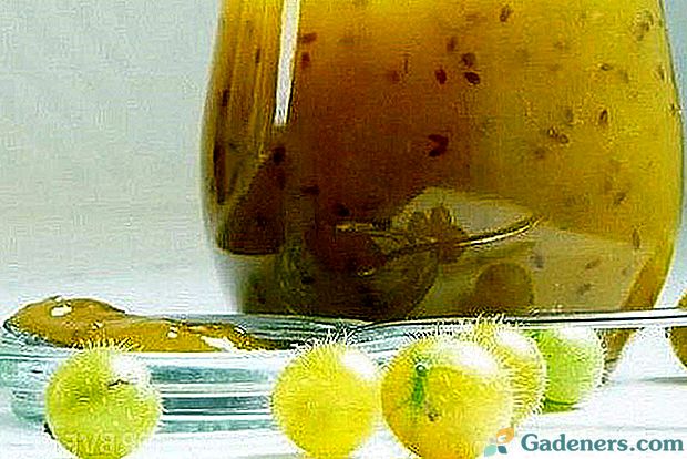 Тайните на готвене вкусно желирани цариградско грозде с портокали