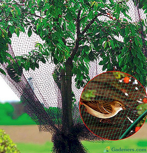 Птица и мрежа от насекоми, произведени в Китай