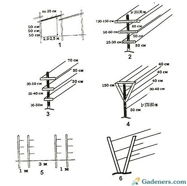 Шпалера для винограда своими руками из дерева чертежи