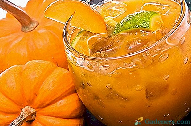 Bučna sok z oranžno za sončno razpoloženje za zimo