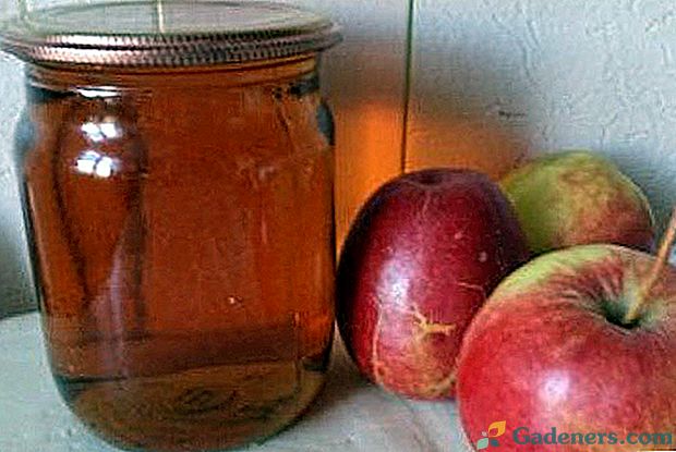 Sok od jabuke za zimu, dobiven od juicer: savjeti, recepte, opis