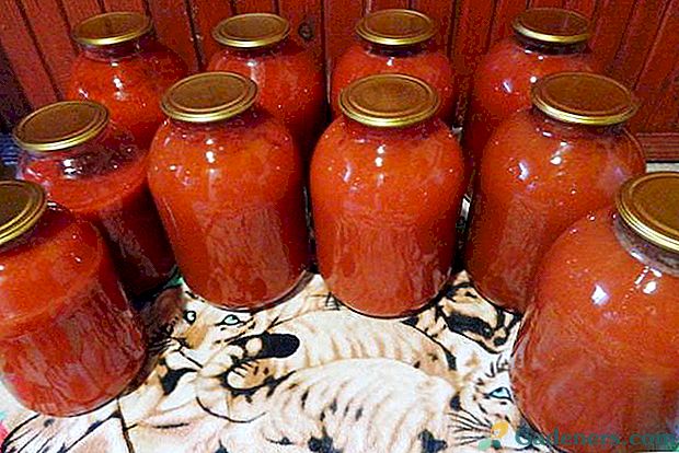 Sok pomidorowy przez sokowirówkę na zimę: szybkie i łatwe przepisy