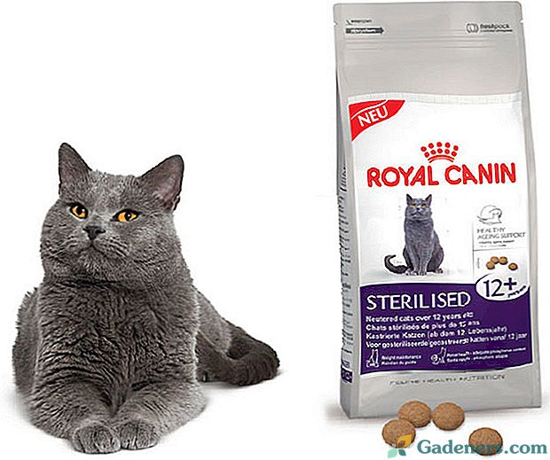 Složení krmiva Royal Canin pro kočky a jeho rozsah