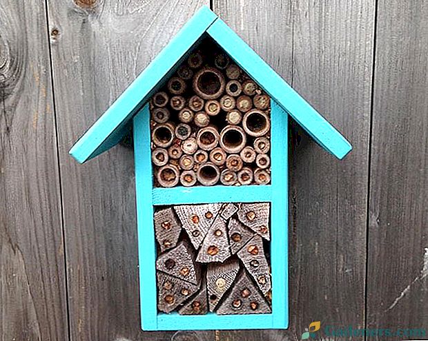 Zgraditi hišo za en čebele