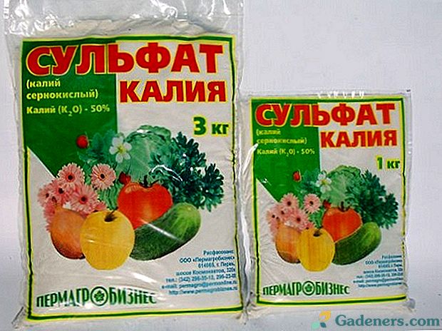 Kalijev sulfat za gnojenje krompirja, kumar in paradižnika