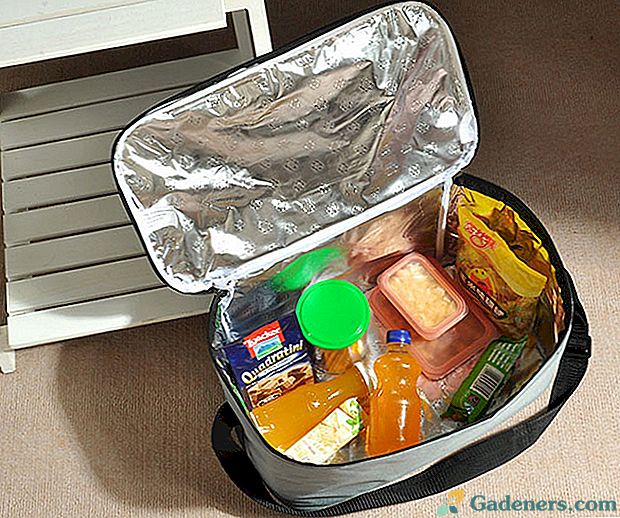 Piknik hladilnik vrečke kitajskega proizvajalca