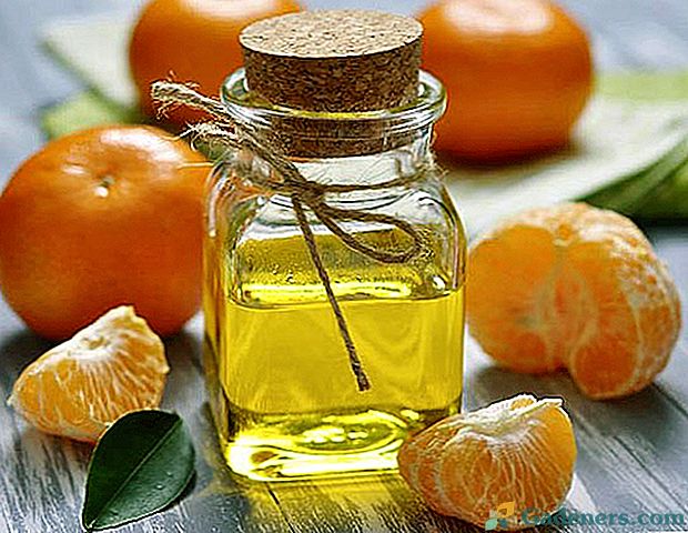 Властивості і застосування ефірного масла мандарина