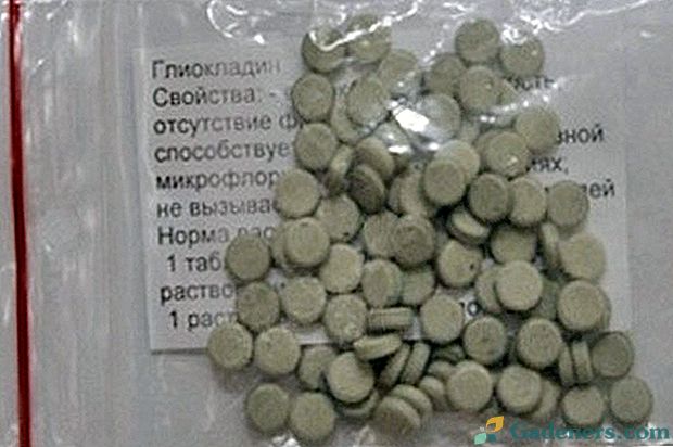 Glyokladinové tablety proti chorobám semenáčků