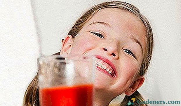 Rajčatová šťáva, výhody a škody na nápoji