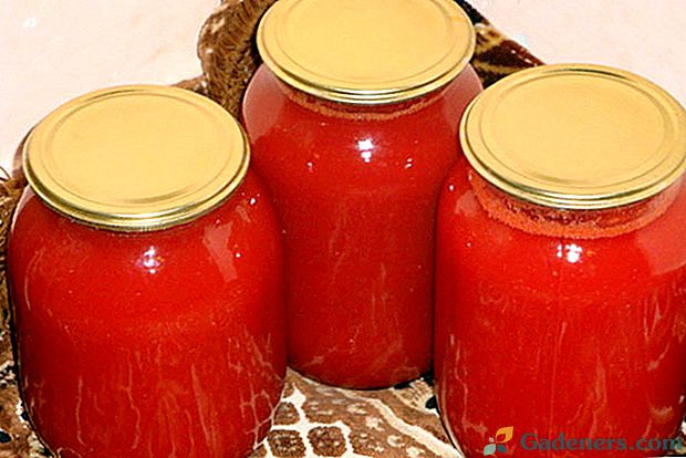 Sok pomidorowy w sokowirówka na zimę