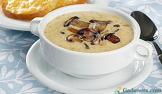 Subtelności gotowania zupy serowej z grzybami