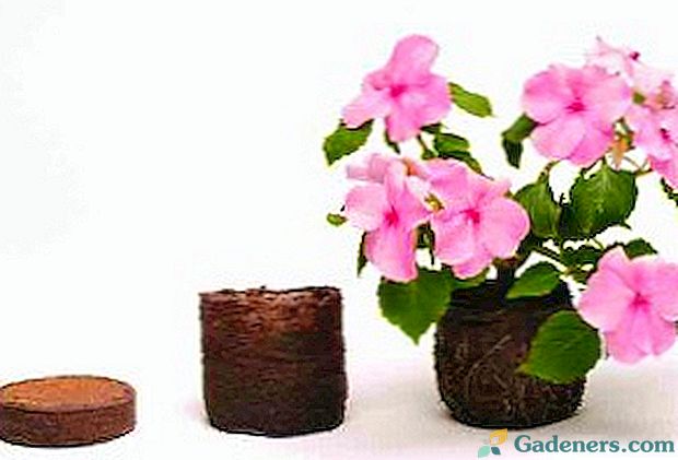 Kūdras tabletes dārzeņu un ziedu stādīšanai