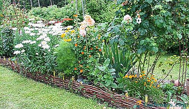 Naučiť sa vytvárať ploty pre trávniky a kvetinové záhony s vlastnými rukami