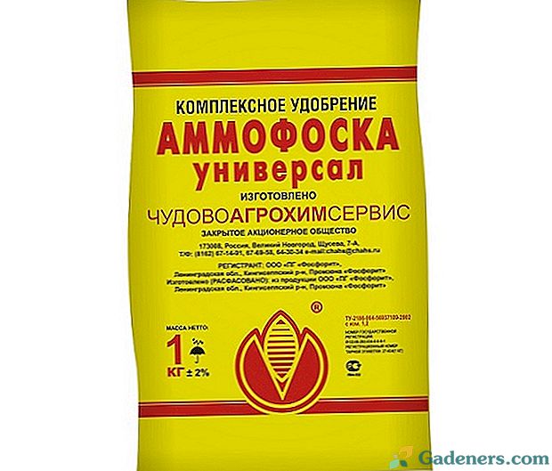 Ammofoska mēslojums - izmantošanas pazīmes, audzējot kartupeļus