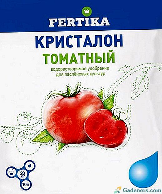 Kristalon hnojivo - aplikácia na paradajky