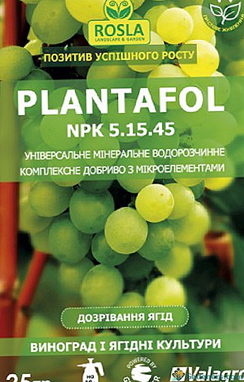 Plantafol mēslojums vīnogu barošanai