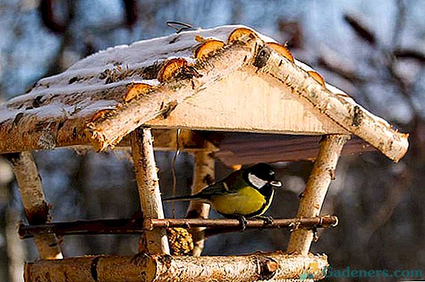 Dekoracje ogrodowe - zrób to sam karmnik dla ptaków